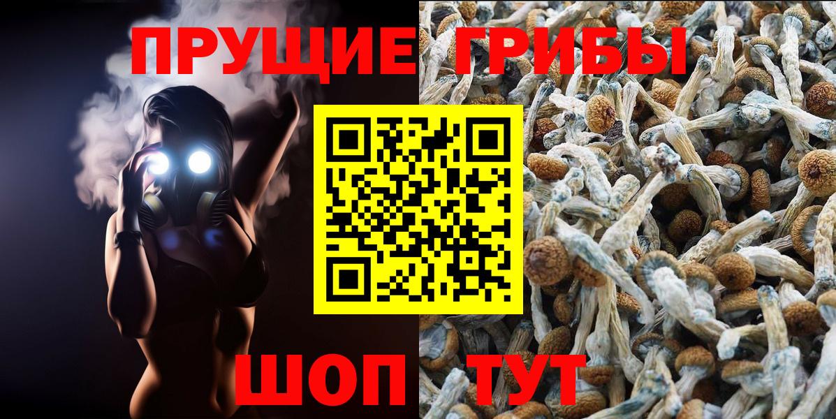Галлюциногенные грибы Cubensis  Вход с VPN  Сергиев Посад 