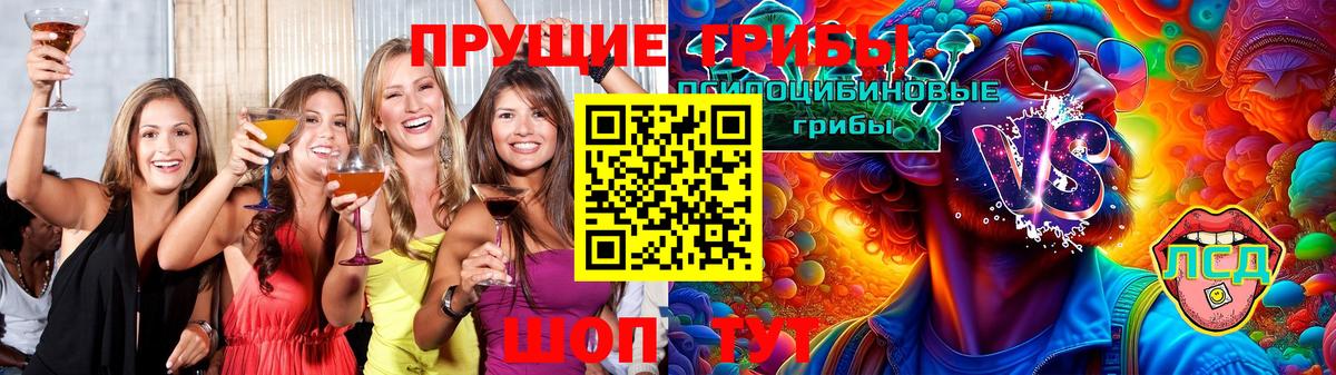 Псилоцибиновые грибы Psilocybine cubensis Сергиев Посад