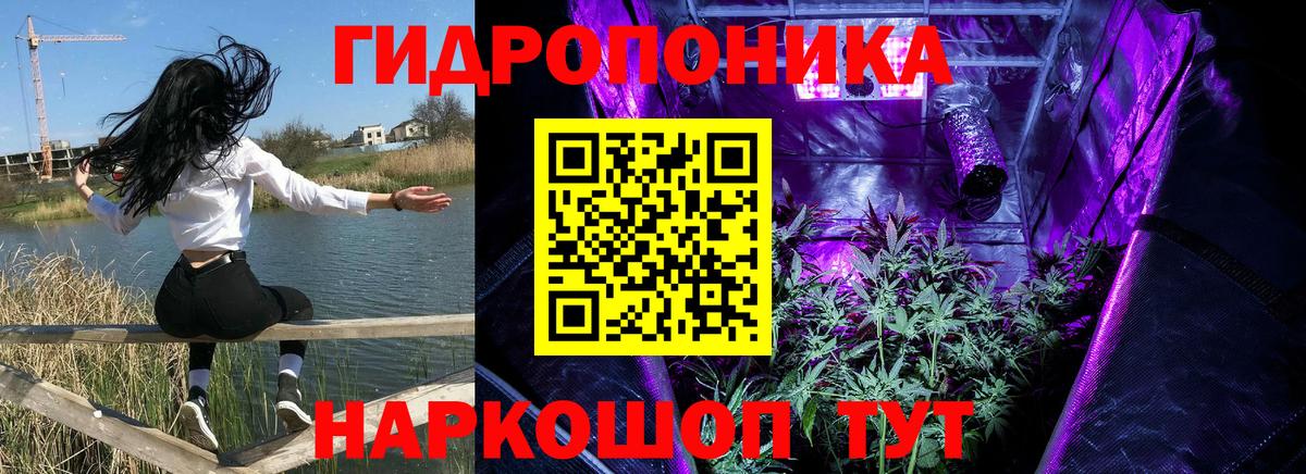 Каннабис конопля Сергиев Посад